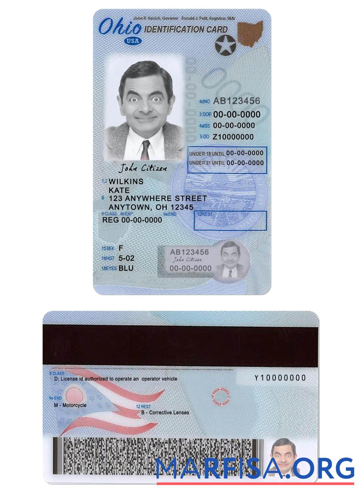 Realistic USA Ohio driving license under 21 example